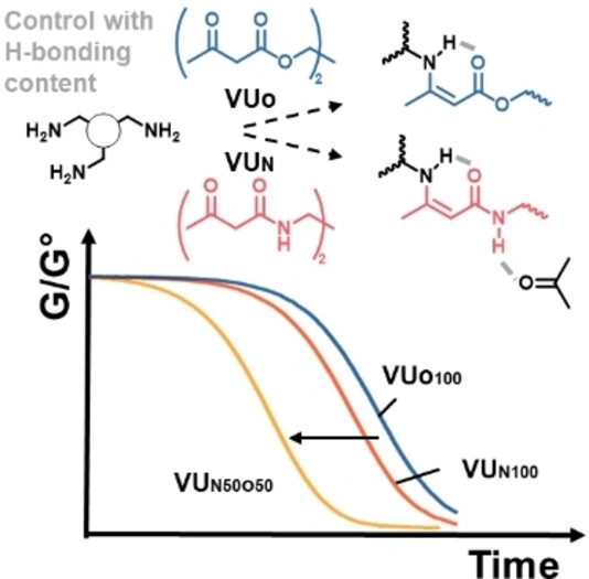 Vinylogous Urea-Urethane Vitrimers: Accelerating and Inhibiting Network Dynamics through Hydrogen Bonding